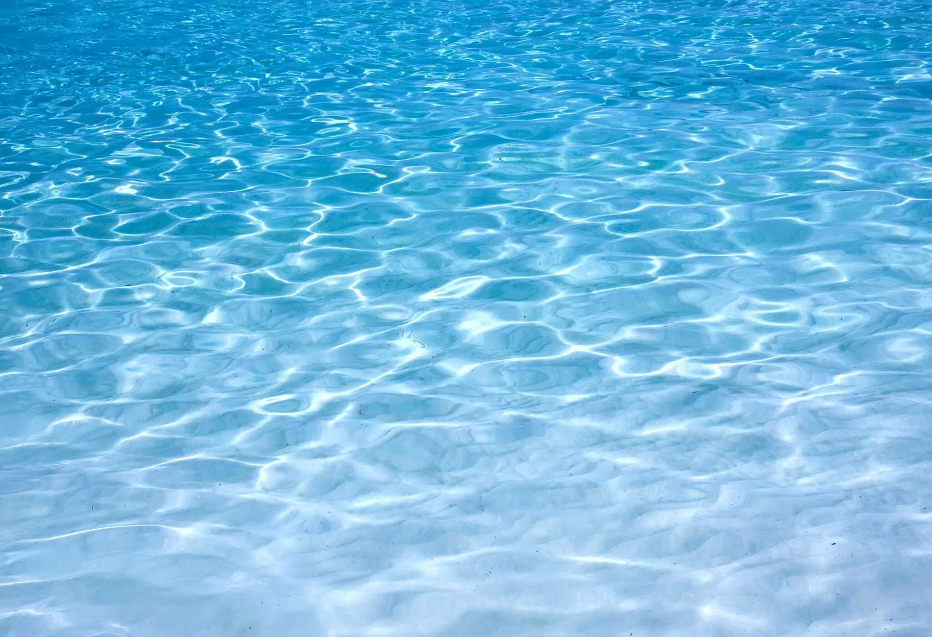 Clean swimming pool with fresh blue water