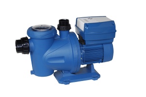 Variable Speed Pool Pump