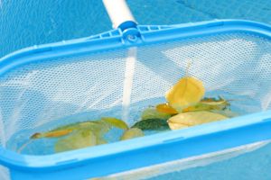 Cleaning Your Pool After A Storm