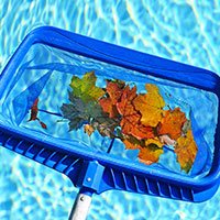 Pool Cleaning