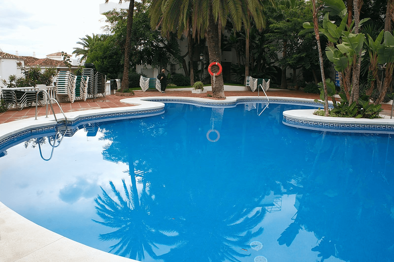 Sparkling swimming pool in Las Vegas surrounded by mature trees