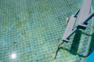 5 Signs You Need New Pool Water