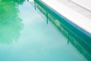 Inground Pool With Algae Buildup