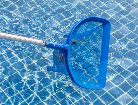 Weekly Pool Cleaning Henderson